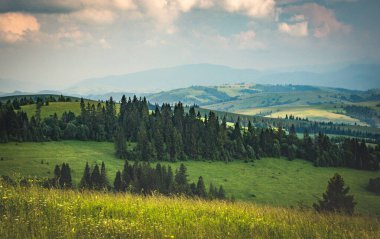 Karpatlar 'daki Borzhava dağ sırasının manzaralı yaz manzarası 