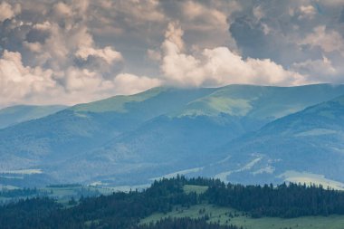 Karpatlar 'daki Borzhava dağ sırasının manzaralı yaz manzarası 