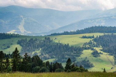 Karpatlar 'daki Borzhava dağ sırasının manzaralı yaz manzarası 