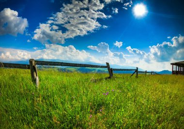 Karpatlar 'daki Borzhava dağ sırasının manzaralı yaz manzarası 