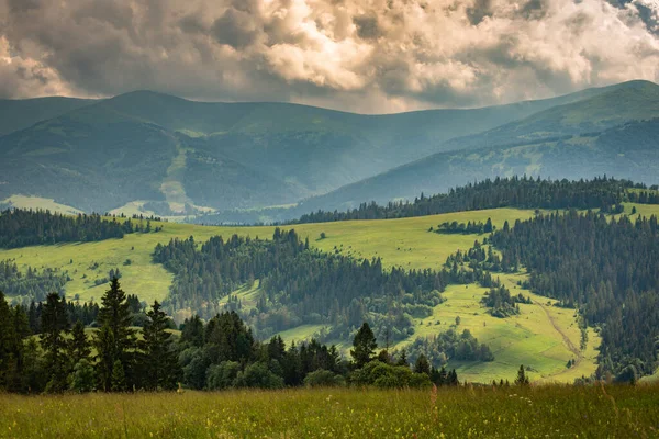 Karpatlar Daki Borzhava Dağ Sırasının Manzaralı Yaz Manzarası — Stok fotoğraf