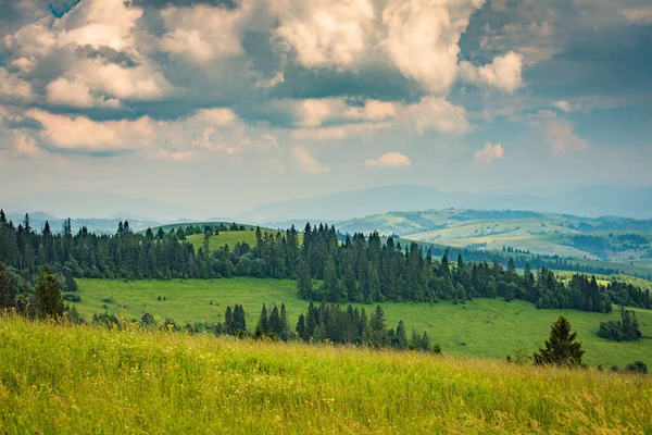 Zomer Landschap Met Uitzicht Bergketen Borzhava Karpaten — Stockfoto