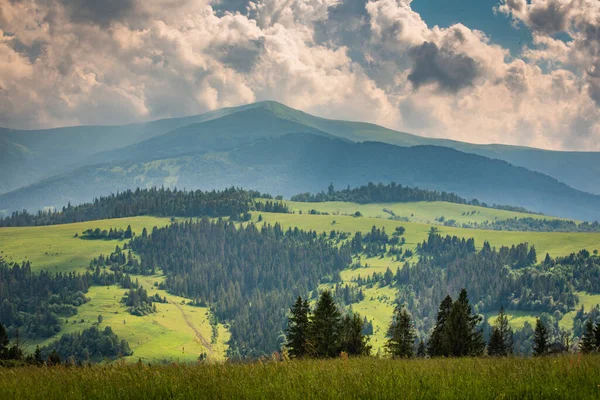 Paisagem Verão Com Vista Para Serra Borzhava Nos Cárpatos — Fotografia de Stock