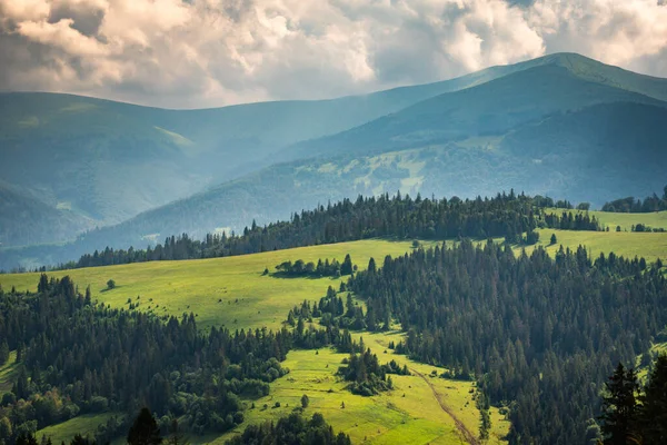 Paisagem Verão Com Vista Para Serra Borzhava Nos Cárpatos — Fotografia de Stock