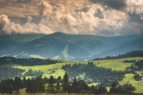 Letni Krajobraz Widokiem Pasmo Górskie Borzhava Karpatach — Zdjęcie stockowe