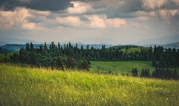 Peisaj Vară Vedere Lanțul Muntos Borzhava Carpați — Fotografie, imagine de stoc