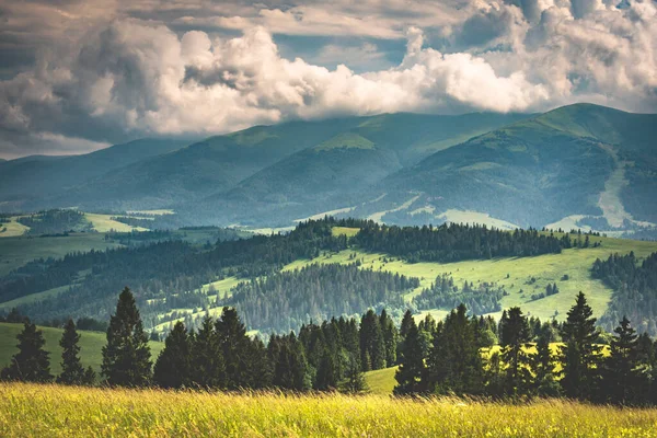 Paisaje Verano Con Vistas Cordillera Borzhava Los Cárpatos —  Fotos de Stock