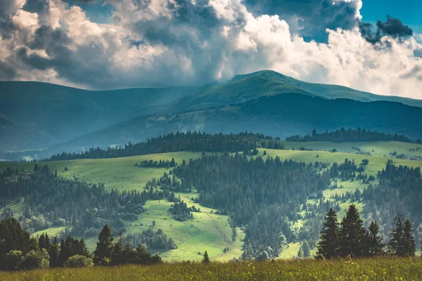 Sommerlandschaft Mit Blick Auf Die Gebirgskette Borzhava Den Karpaten — Stockfoto