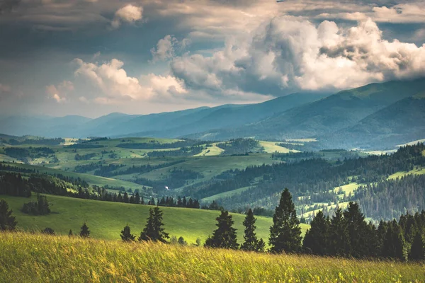 Paysage Estival Avec Vue Sur Chaîne Montagnes Borzhava Dans Les — Photo