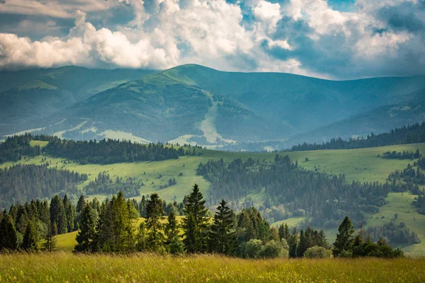 Paisagem Verão Com Vista Para Serra Borzhava Nos Cárpatos — Fotografia de Stock