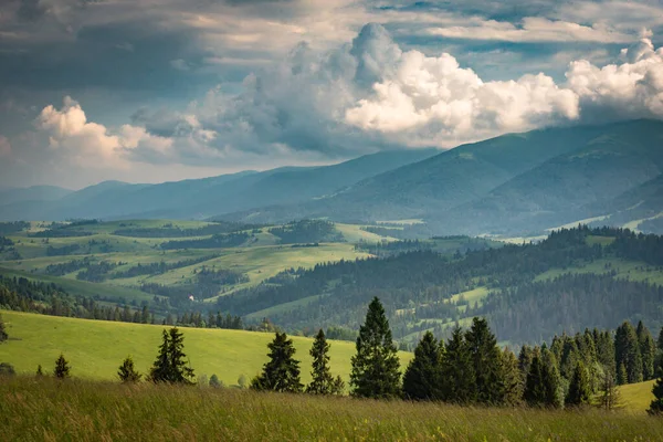 Paisagem Verão Com Vista Para Serra Borzhava Nos Cárpatos — Fotografia de Stock