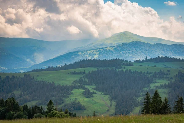 Letni Krajobraz Widokiem Pasmo Górskie Borzhava Karpatach — Zdjęcie stockowe