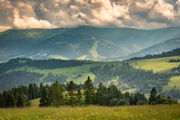 Paisagem Verão Com Vista Para Serra Borzhava Nos Cárpatos — Fotografia de Stock