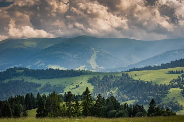 Paisagem Verão Com Vista Para Serra Borzhava Nos Cárpatos — Fotografia de Stock