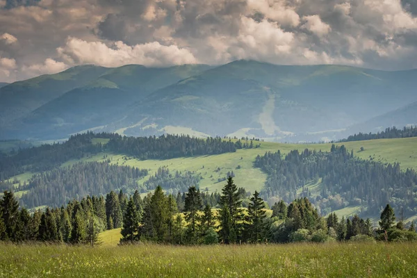 Paisaje Verano Con Vistas Cordillera Borzhava Los Cárpatos — Foto de Stock