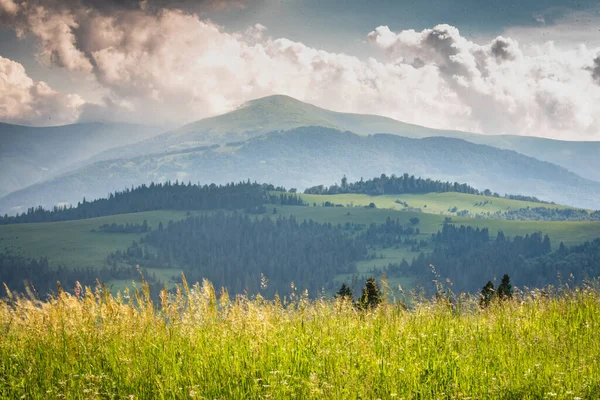 Karpatlar 'daki Borzhava dağ sırasının manzaralı yaz manzarası 