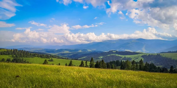 Karpatlar 'daki Borzhava dağ sırasının manzaralı yaz manzarası 