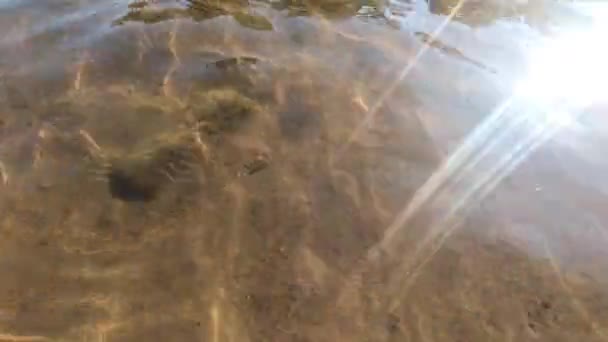 Belle Onde Costiere Acqua Trasparente Fiume Montagna — Video Stock