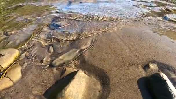 Bir Dağ Nehrinin Şeffaf Sularından Oluşan Güzel Sahil Dalgaları — Stok video