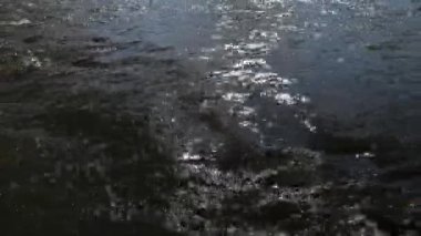 Bir dağ nehrinin hızlı akışı ve girdapları