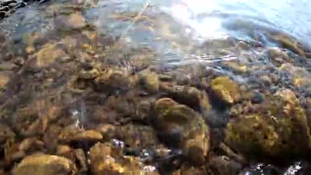 Débit rapide et tourbillons d'une rivière de montagne