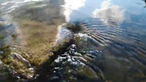 Szybki Przepływ Wiry Górskiej Rzeki — Wideo stockowe