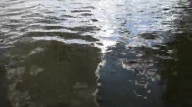 Bir dağ nehrinin hızlı akışı ve girdapları