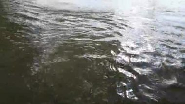 Bir dağ nehrinin hızlı akışı ve girdapları