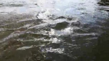 Bir dağ nehrinin hızlı akışı ve girdapları