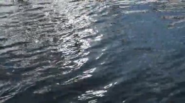 Bir dağ nehrinin hızlı akışı ve girdapları