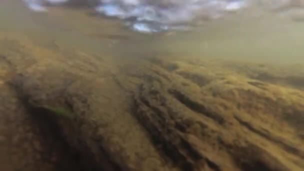 Omtrek Van Zonnestralen Door Snelle Beweging Van Water Een Bergrivier — Stockvideo