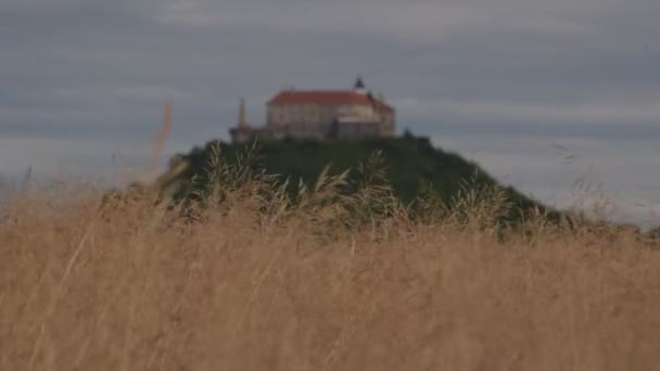 Campo Grano Con Contorni Del Castello Lontananza — Video Stock