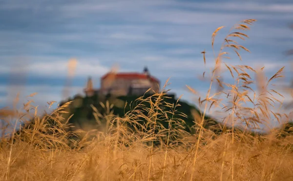 Wheat field with the contours of the castle in the distance