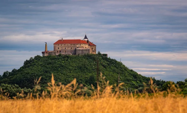 Campo Trigo Con Los Contornos Del Castillo Distancia — Foto de Stock