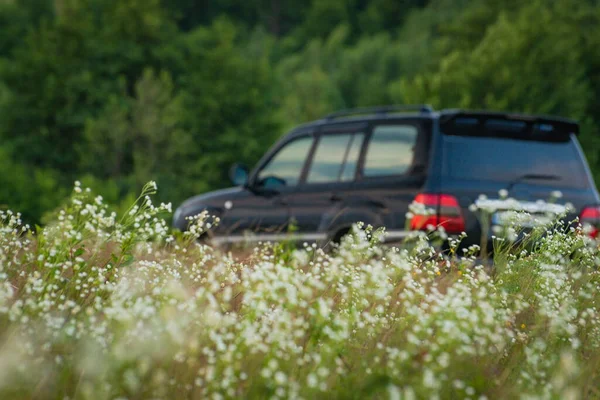 Suv Cestuje Létě Karpaty — Stock fotografie