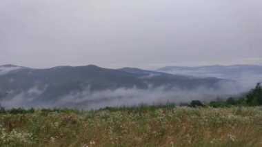 Karpatlar 'da Zaman Hızı Yazı Fırtınası manzarası