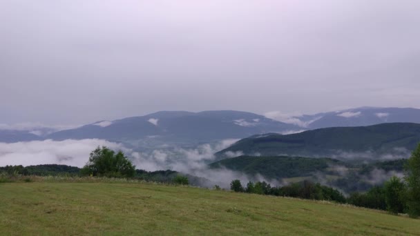 喀尔巴阡山脉夏季雷雨景观 — 图库视频影像