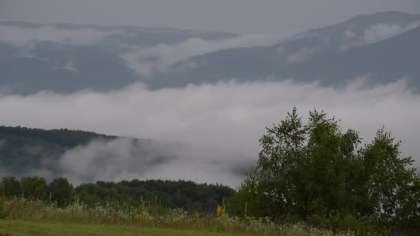 Sommar Åskväder Landskap Karpaterna — Stockvideo