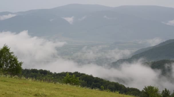 喀尔巴阡山脉夏季雷雨景观 — 图库视频影像