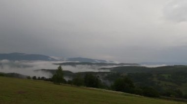 Karpatlar 'da yaz fırtınası manzarası