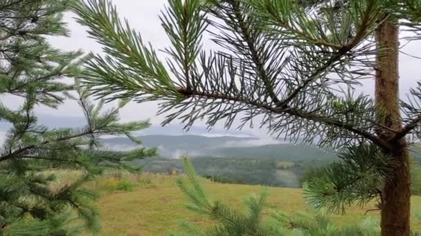 Paisaje Tormenta Verano Los Cárpatos — Vídeo de stock