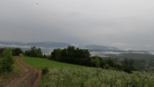 Verão Trovoada Paisagem Nos Cárpatos — Vídeo de Stock