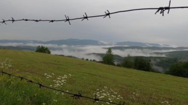 Karpatlar 'da yaz fırtınası manzarası