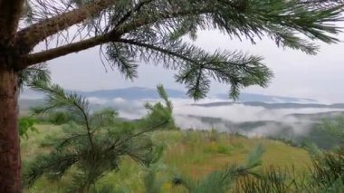 Karpatlar 'da yaz fırtınası manzarası