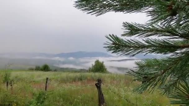 Verão Trovoada Paisagem Nos Cárpatos — Vídeo de Stock