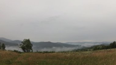 Karpatlar 'da yaz fırtınası manzarası