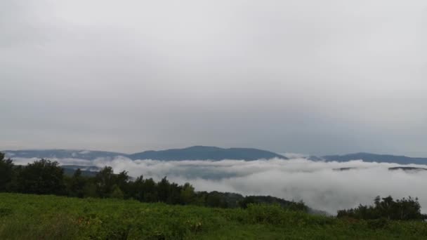 喀尔巴阡山脉夏季雷雨景观 — 图库视频影像