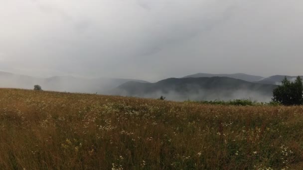 Verão Trovoada Paisagem Nos Cárpatos — Vídeo de Stock