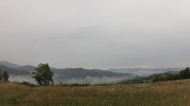 喀尔巴阡山脉夏季雷雨景观 — 图库视频影像