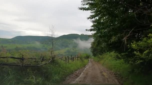Suv Travels Summer Carpathians — Stock Video